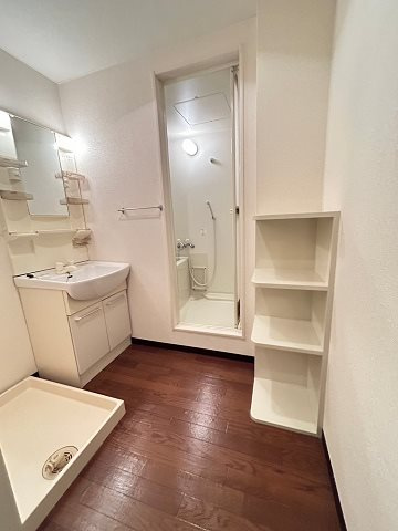 シュレスヘン南塚口の洗面所