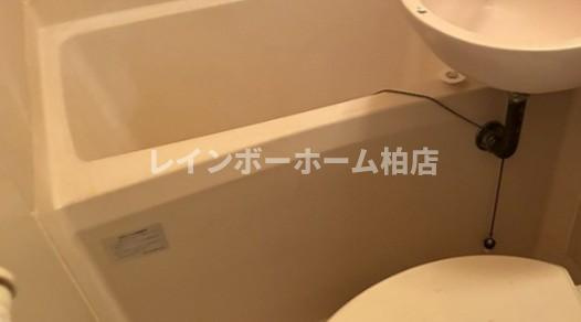 特典：仲介手数料が無料です!!の浴室|お風呂で日々の疲れを落としましょう