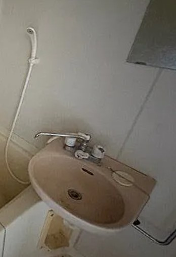 エステートガーデン志木の洗面所