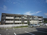 カンパーニョ・№2の画像