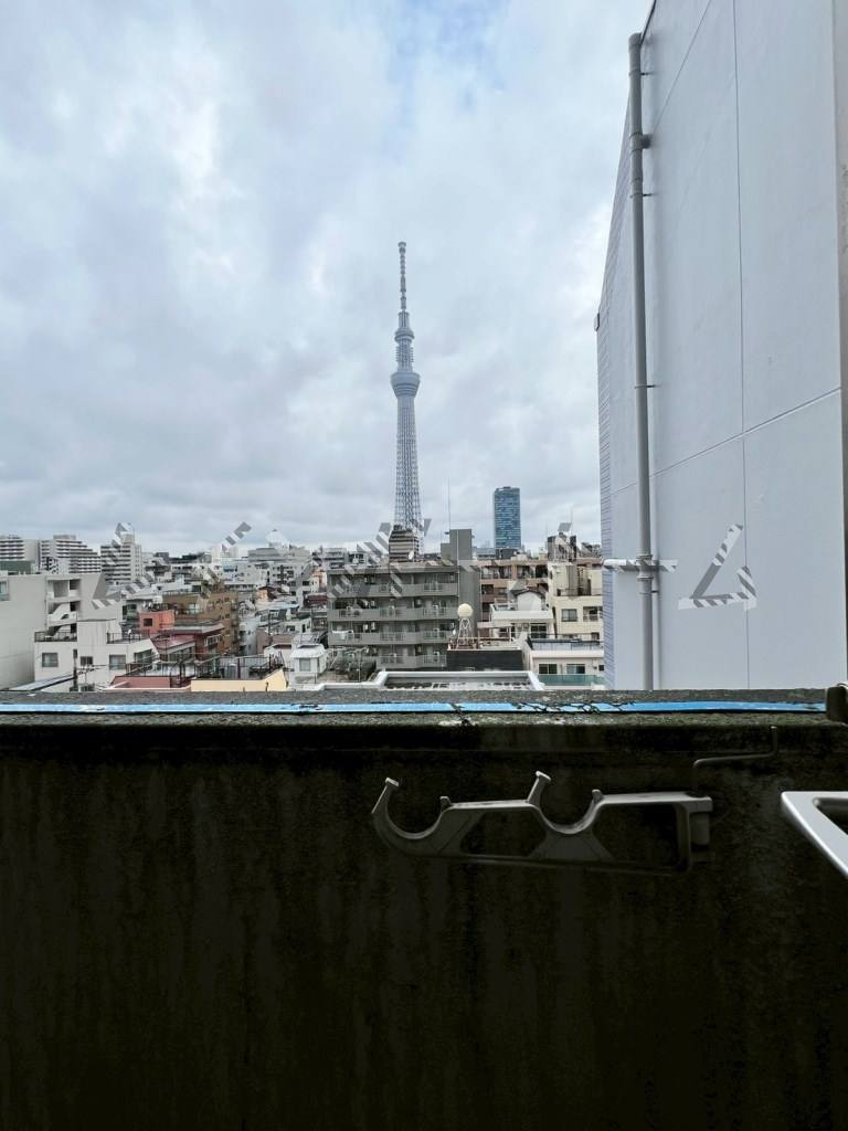 ダイヤモンドレジデンス錦糸町の展望|※別部屋参照写真になります。