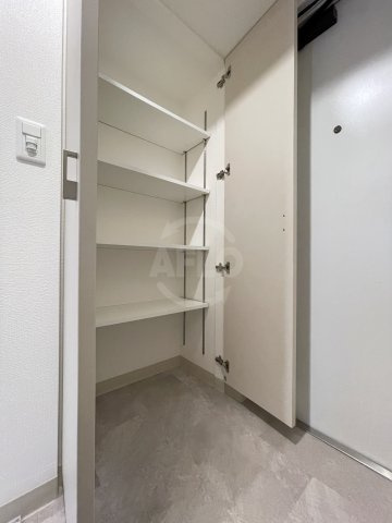 エステムコート難波サウスプレイスⅦリアンの収納|エステムコート難波サウスプレイスⅤIIリアン　シューズBOX