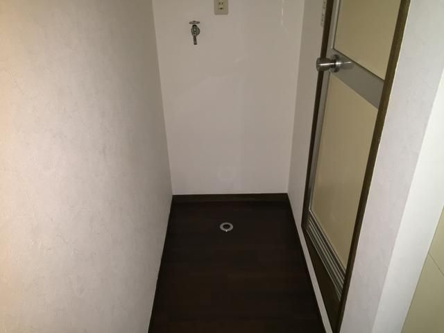 ドルフミサのその他