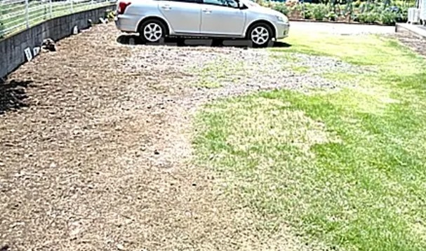 ドルフミサの駐車場