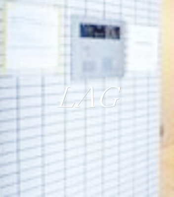 【セキュリティ】 | Ｒｉｓｉｎｇ　Ｐｌａｃｅ大森二番館 | オートロックです。