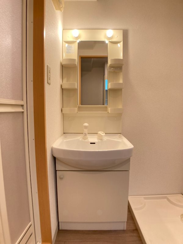 サウスヒルズ難波Ⅲ番館の洗面所
