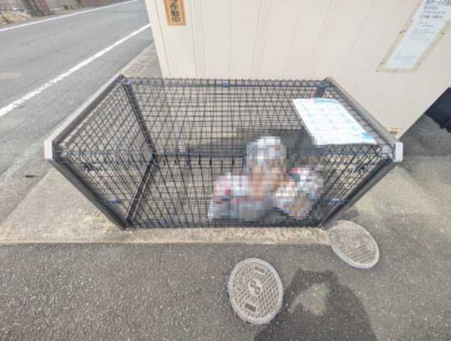 アネックス根洗のその他共用部分