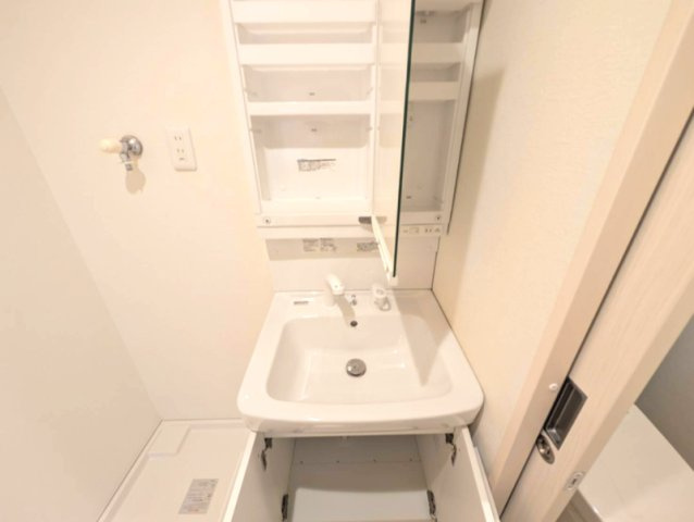 アネックス篠ケ瀬Ⅱの独立洗面台