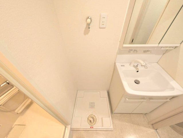 アネックス篠ケ瀬Ⅱの洗面所