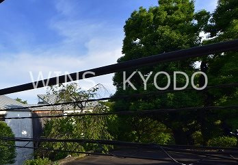 世田谷区宮坂３丁目のアパートの展望