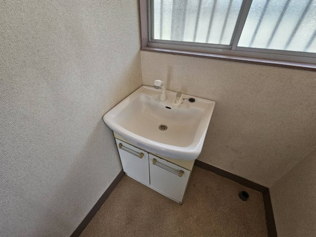 テラス丸山の洗面所