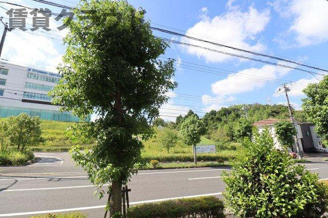 ＧＲＥＥＮ　ＰＩＡの展望