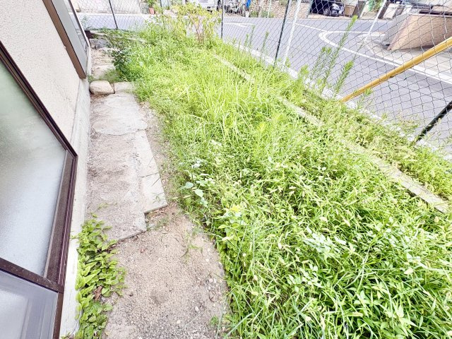 藤の上ハイツの庭