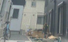 【その他共用部分】 | セルカ谷在家