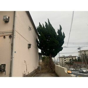神戸市灘区鶴甲５丁目のアパートの展望