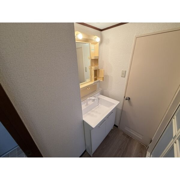 神戸市中央区山本通３丁目の賃貸マンションの独立洗面台