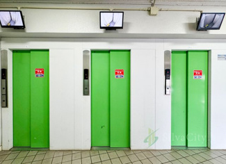 【その他共用部分】 | 戸山ハイツ27号棟 | エントランスや駐車場、ちょっとしたお庭部分のお手入れが行き届いていてとてもキレイでした。資産価値を高める部分としては重要なことです。