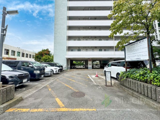 【駐車場】 | 戸山ハイツ27号棟 | エントランスや駐車場、ちょっとしたお庭部分のお手入れが行き届いていてとてもキレイでした。資産価値を高める部分としては重要なことです。