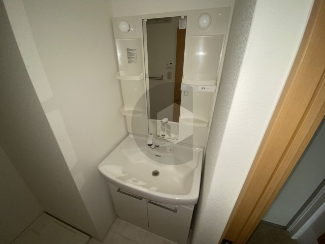 東大阪市高井田本通１丁目の賃貸マンションの独立洗面台