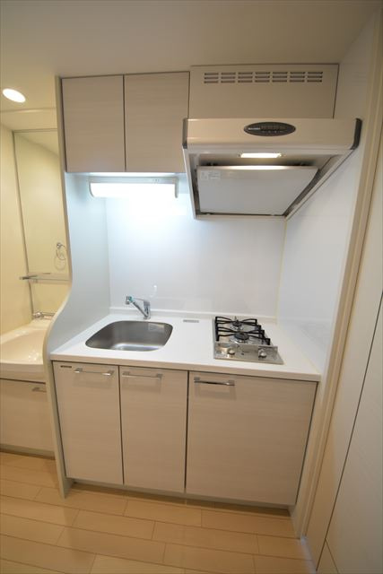 プレサンス上町台東平のキッチン|プレサンス上町台東平　ガス2口コンロシステムキッチン