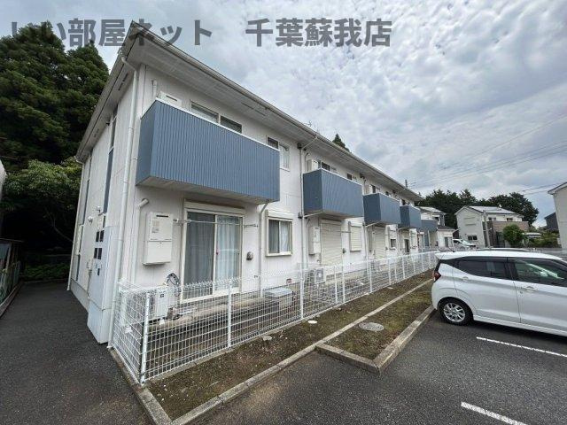 エムティー・パイン