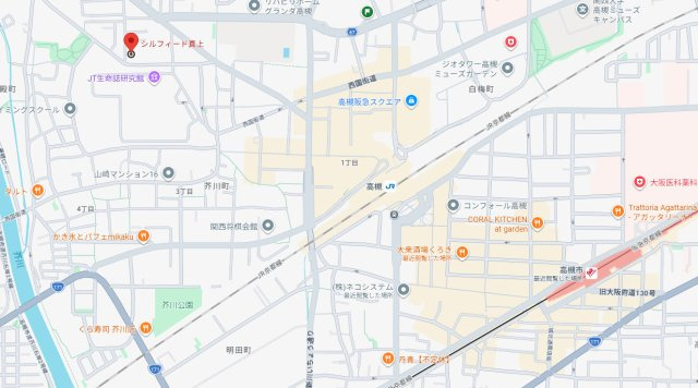 シルフィード真上の地図