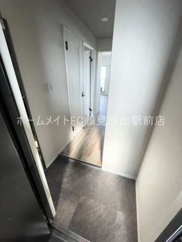 大阪市城東区中浜１丁目の賃貸マンションの玄関