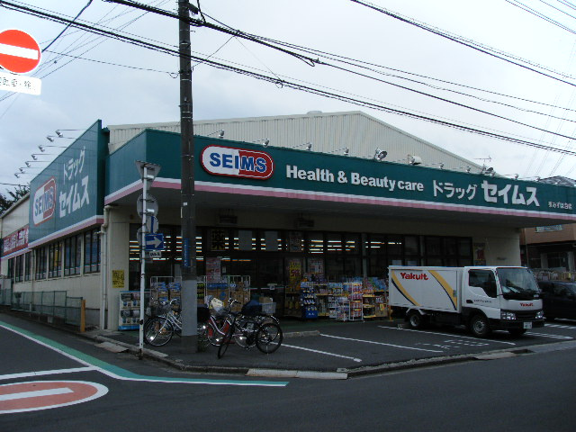 ブルーシエルの周辺|ドラッグセイムス東みずほ台店まで747ｍ