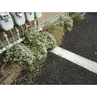 【その他共用部分】 | グリシーヌ経堂Ａ棟