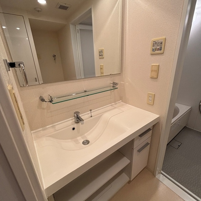 パークアクシス豊洲の洗面所|※写真は同タイプ住戸です。