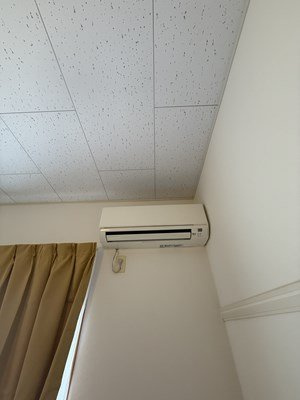 レオパレス猫座のその他