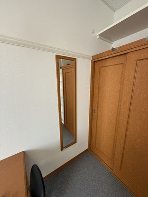 レオパレスアルファードのその他