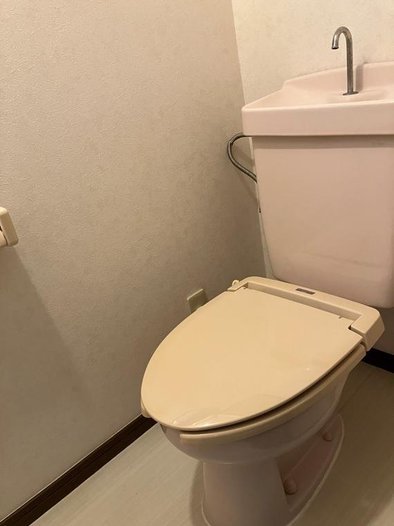南平台戸建のトイレ