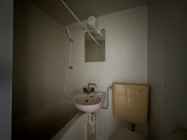 手柄マンションの洗面所