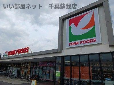 オレンジ・サンシャインのその他