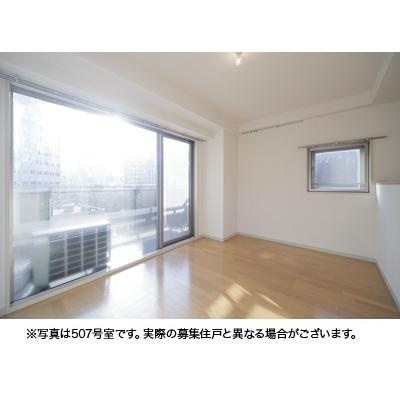 ラフィネ築地の洋室