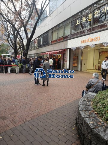 ミレアコート銀座プレミアの周辺