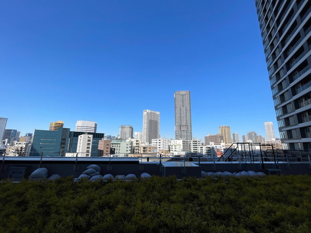 パークタワー勝どき　サウス棟の展望