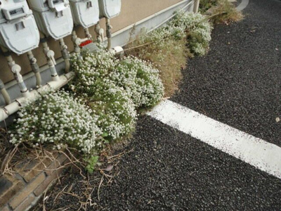 【その他】 | グリシーヌ経堂Ａ棟