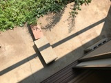 第二コーポ寿の庭