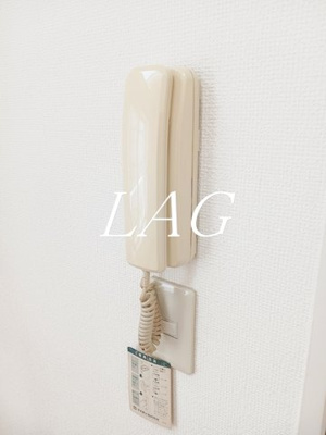 【セキュリティ】 | ロッシェル相模大野Ⅱ | インターフォンです。