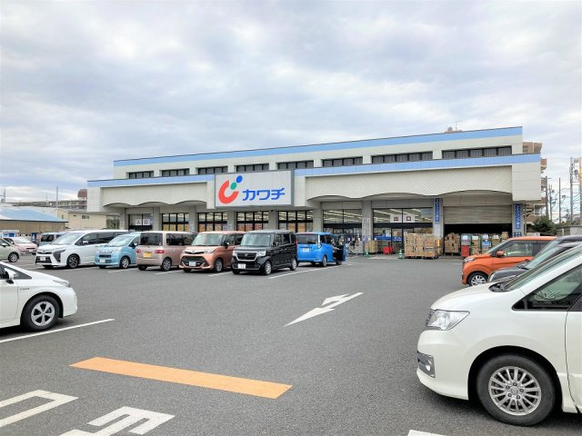 レオネクスト金明の周辺
