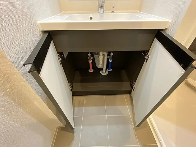 ルネサンスコート本蓮沼の洗面所