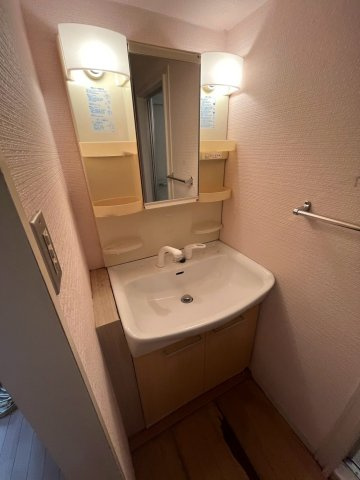 ジョージア苦楽園の洗面所