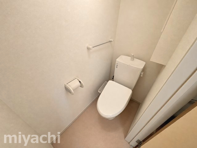 パークアクシス　EAST　Dのトイレ