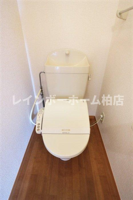 仲介手数料（賃料の1.10ヵ月）の50％OFF対象物件！のトイレ