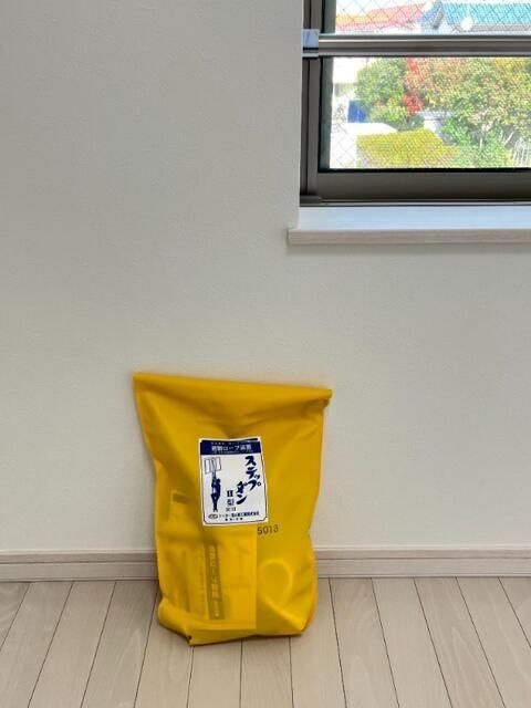 ドマーニ扇のその他