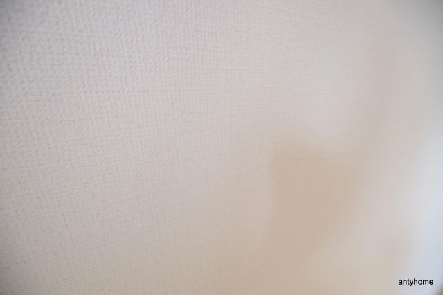 ミモサ中津　仲介手数料無料の内装