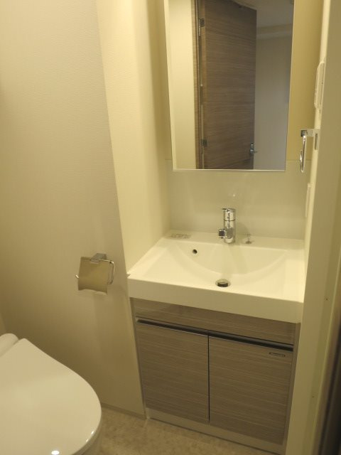 MAXIV北糀谷 の洗面所