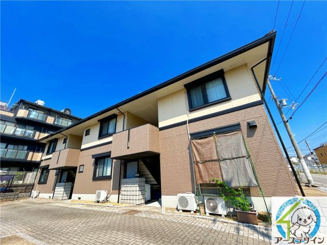 ハイカムール住吉の外観